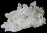 Himalayan Quartz Crystal Cluster with Chlorite Inclusions #63043-2